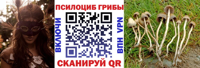 Купить закладки  Дмитровск  Псилоцибиновые грибы ЛСД 